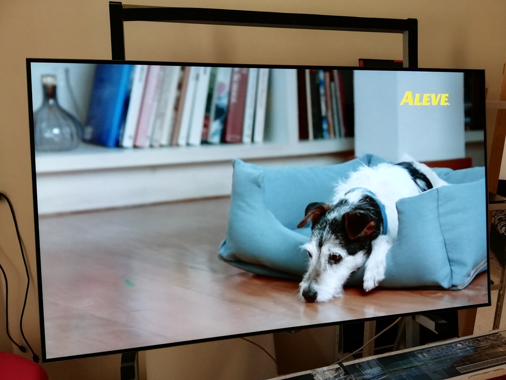 LG 65B6D OLED (Kijelzőn  Folt látható), 65B6D